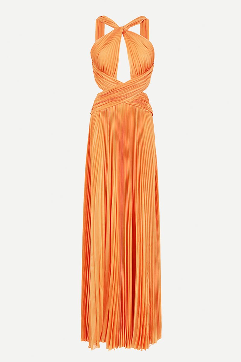 Arabella Chiffon Backless Maxi Dress