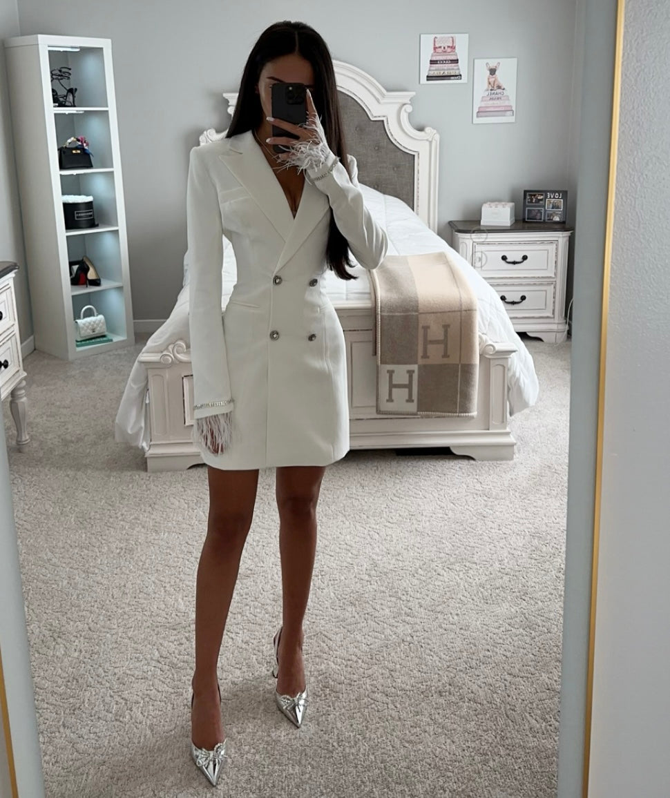 FUR SLEEVE BLAZER DRESS