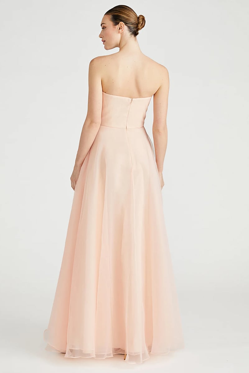 Zoa Strapless Maxi Dress